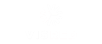 seguros-VisRed-logo-2 seguros-VisRed-logo-2